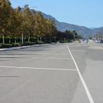 Julian_0026 (October 11, 2015)